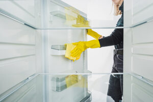 Refrigerator Cleaning - Dust It Down